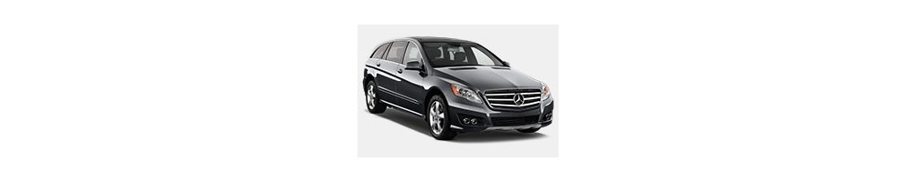 Mercedes-Benz R-Class (W251) Door Logo Lights | Andmonc