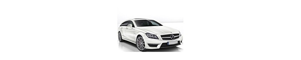 Mercedes-Benz CLS (W218) Door Logo Lights | Andmonc