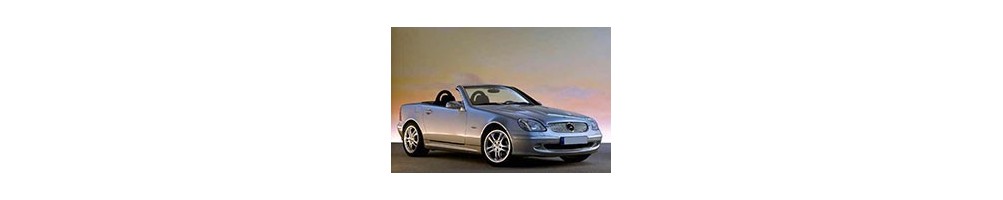 Mercedes-Benz SLK (R170) Door Logo Lights | Andmonc