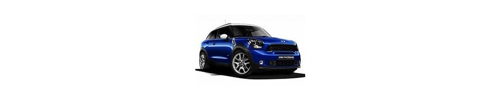 MINI Cooper Paceman R61 Door Logo Projector Lights | Andmonc