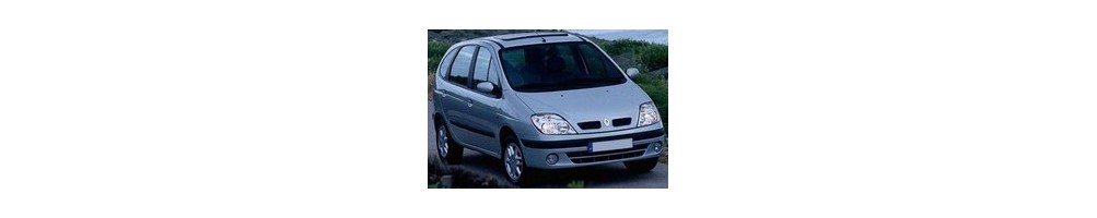 Renault Scenic 1 Door Logo Projector Lights | Andmonc
