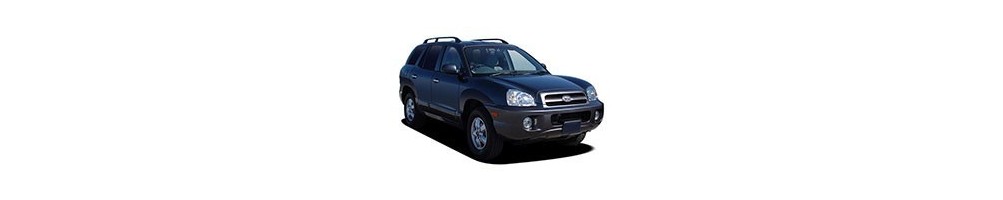 Hyundai Santa Fe I Door Logo Projector Lights | Andmonc