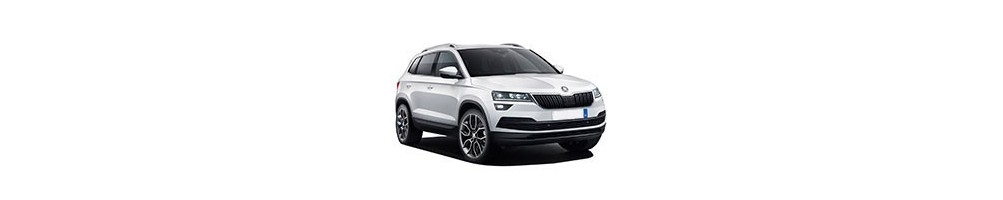 Skoda Karoq Door Logo Projector Lights | Andmonc