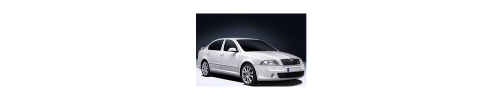 Skoda Octavia 2 (1Z) Door Logo Projector Lights | Andmonc
