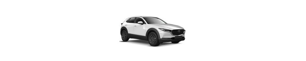 Mazda CX-30 Door Logo Projector Lights | Andmonc