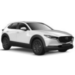 Mazda CX-30 Door Logo Projector Lights