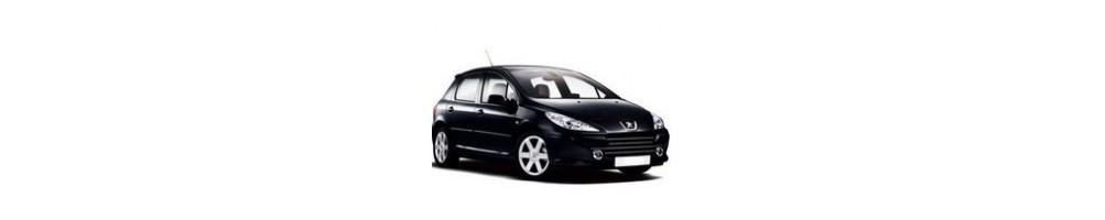 Peugeot 307 Door Logo Projector Lights | Andmonc