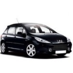 Peugeot 307 Door Logo Projector Lights