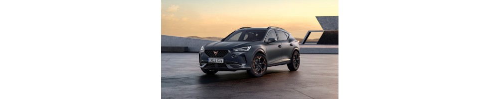 Cupra Formentor Door Logo Projector Lights | Andmonc