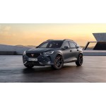 Cupra Formentor Door Logo Projector Lights