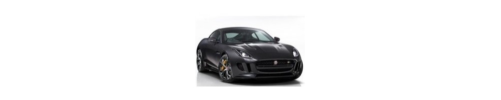 Jaguar F Type Door Logo Projector Lights | Andmonc