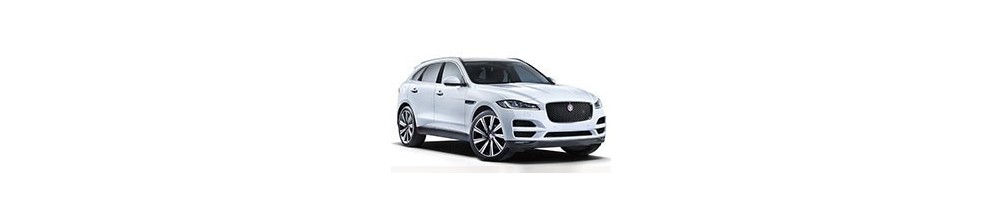 Jaguar F-Pace Door Logo Projector Lights | Andmonc